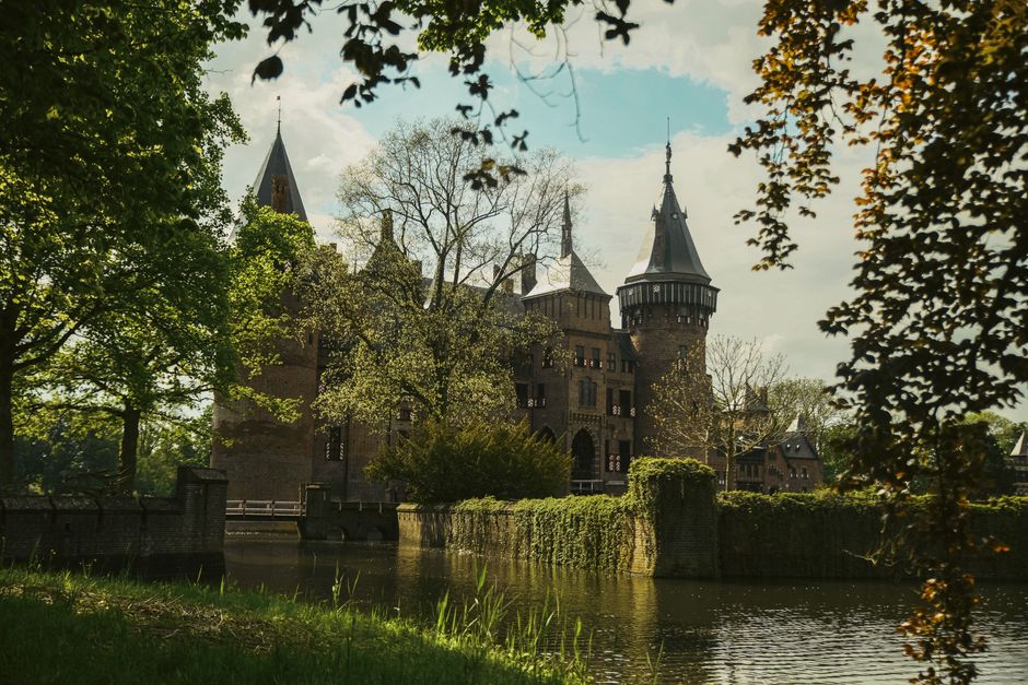 Scenic view of a historic castle by a lake, enveloped in lush greenery.